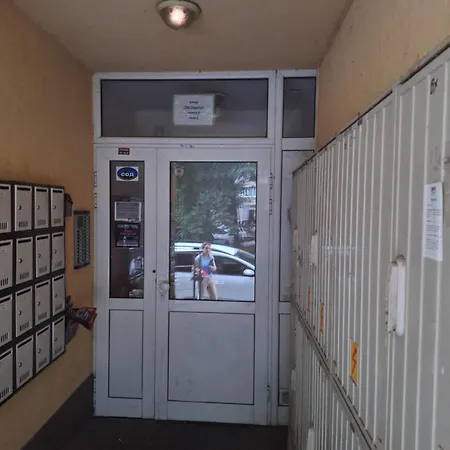 арт мира Велико Търново